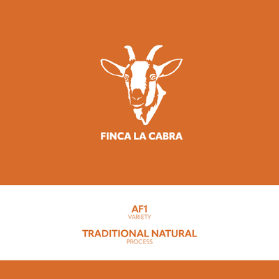 AF1 Traditional Natural